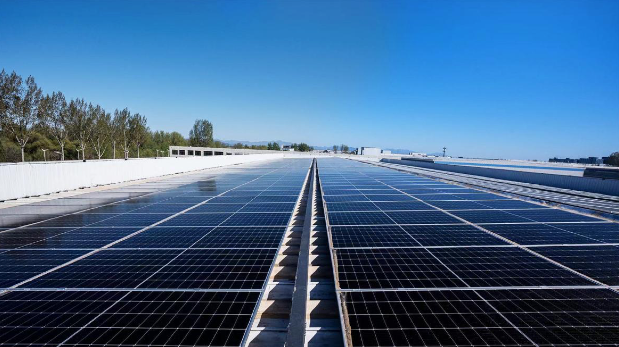 7e2b053d8edeb9c3f31e1637251f41f.png 7e2b053d8edeb9c3f31e1637251f41f.png